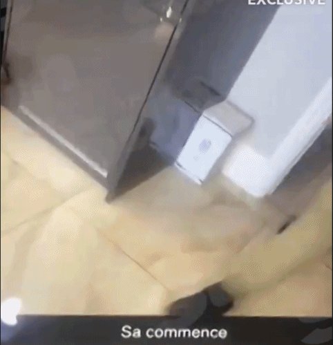 1644396930540022836.gif 2.gif